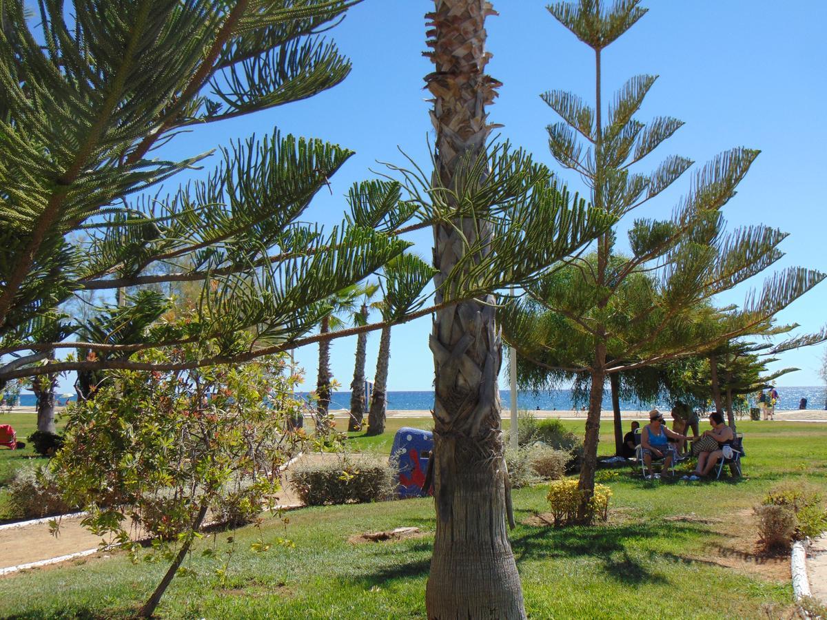 Apartamentos Varios Con 2 Dorm En Marina Dor , La Playa De Amplaries 47 , Vista Lateral Al Mar Oropesa del Mar Luaran gambar